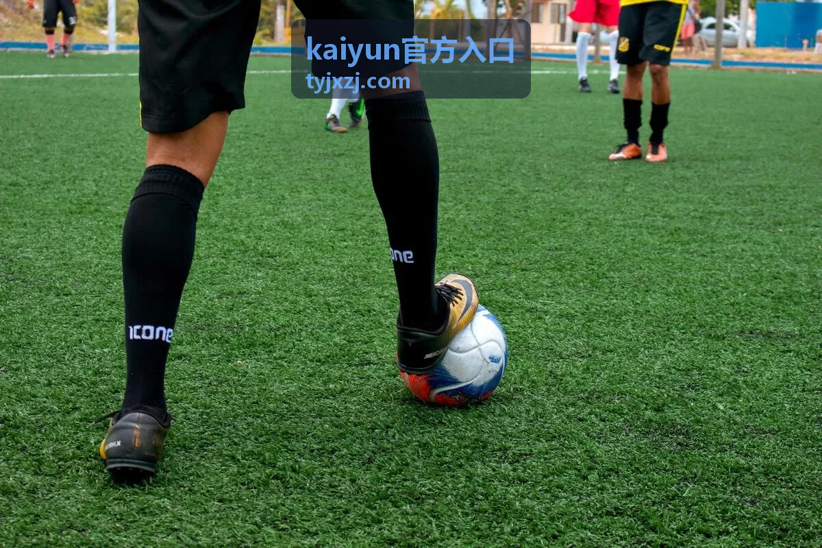 kaiyun官方入口 浏览器兼容性检查片段封面