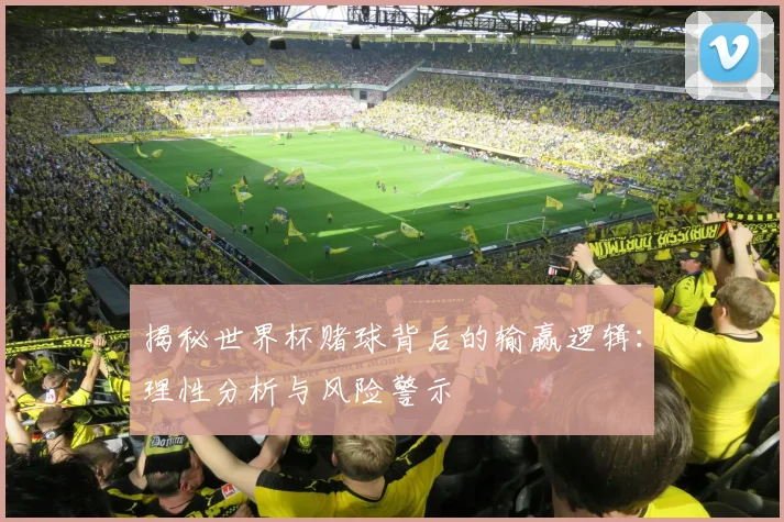 揭秘世界杯赌球背后的输赢逻辑：理性分析与风险警示