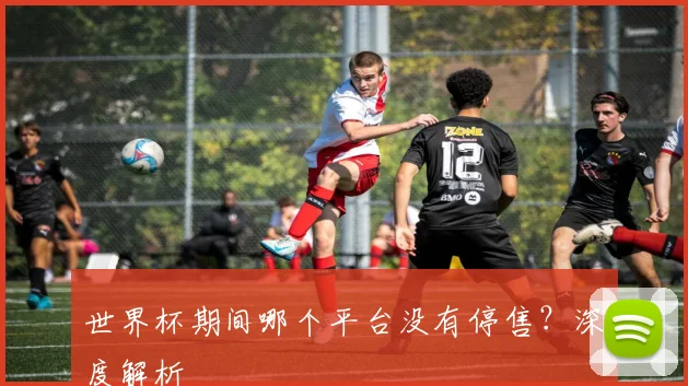 世界杯期间哪个平台没有停售?深度解析